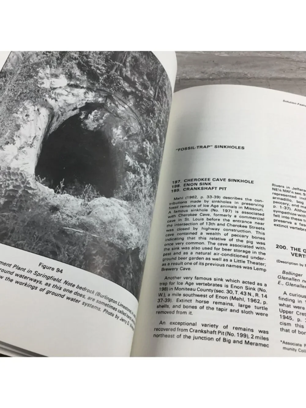 Geologic Wonders And Curiosities Of Missouri 1990 Paperback